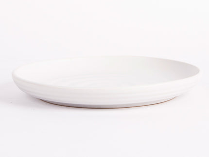 PLATO TRINCHE BLANCO